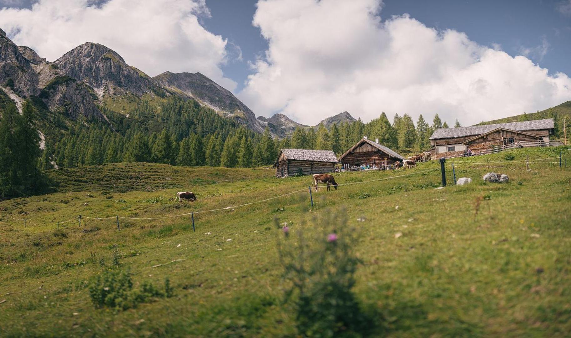Hotel Sportalmmm, Hoch-Genuss (Adults Only) Цаухензе Екстер'єр фото